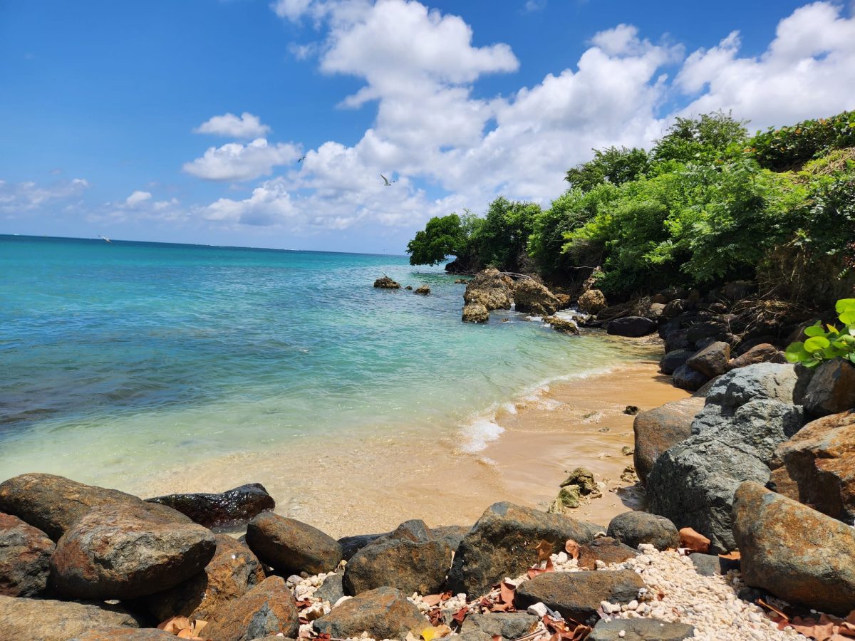 Beachside view from Buccoo, Tobago